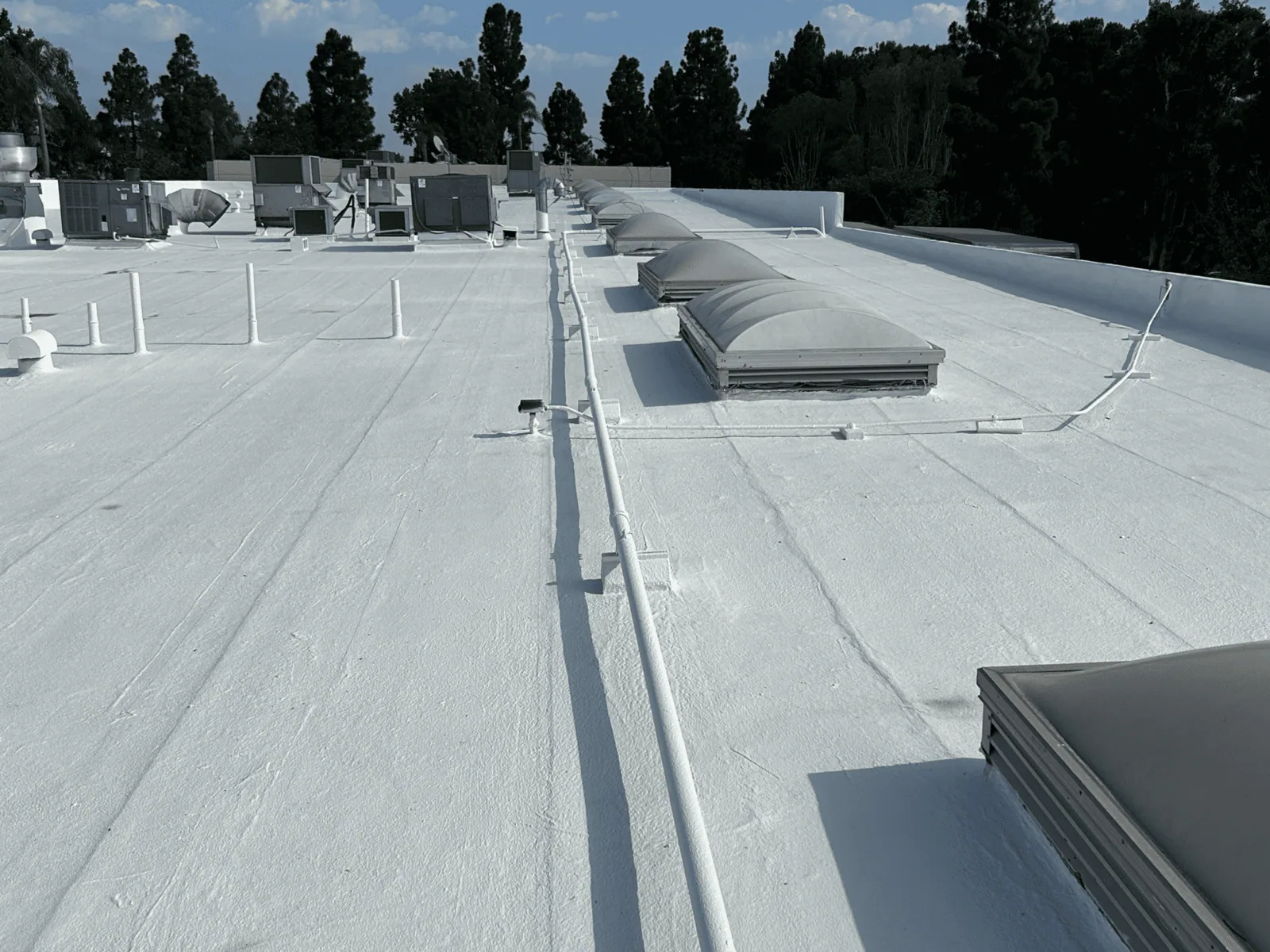 Commercial Roofing Services in Bellevue